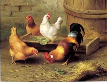 unknow artist Cocks 134 oil painting picture